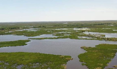 Disappearing Marshes