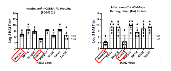 Vaccination with PDS0202 Provides broadly effective HAI antibody responses (minimum 1:40 ratio) across multiple strains of the H3N2 virus including Swtiz/13 and Kan/17 demonstrating the broad reactivity of the novel COBRA proteins.  Similar results were demonstrated against multiple strains of the H1N1 virus.