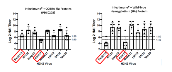 H3N2 HAI Response