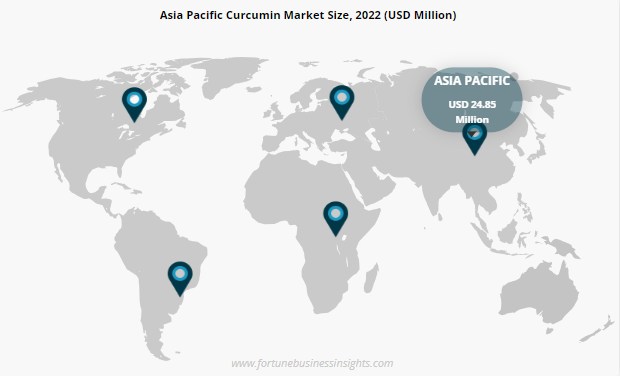 Curcumin Market