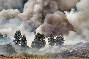 Large, severe wildfires are only one impact of a changing climate in the Western U.S. Credit: DRI