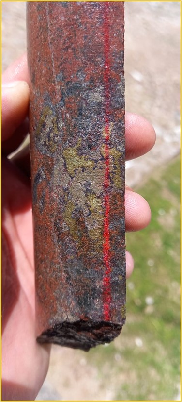 Drill hole 21MT020: Hydrothermally altered granodiorite hosting semi-massive bornite, chalcopyrite, and pyrite. From 345.00 metres grading 13.20 g/t gold, 12.94 g/t silver and 0.22% copper. Core width is 4.76 centimetres (NQ).