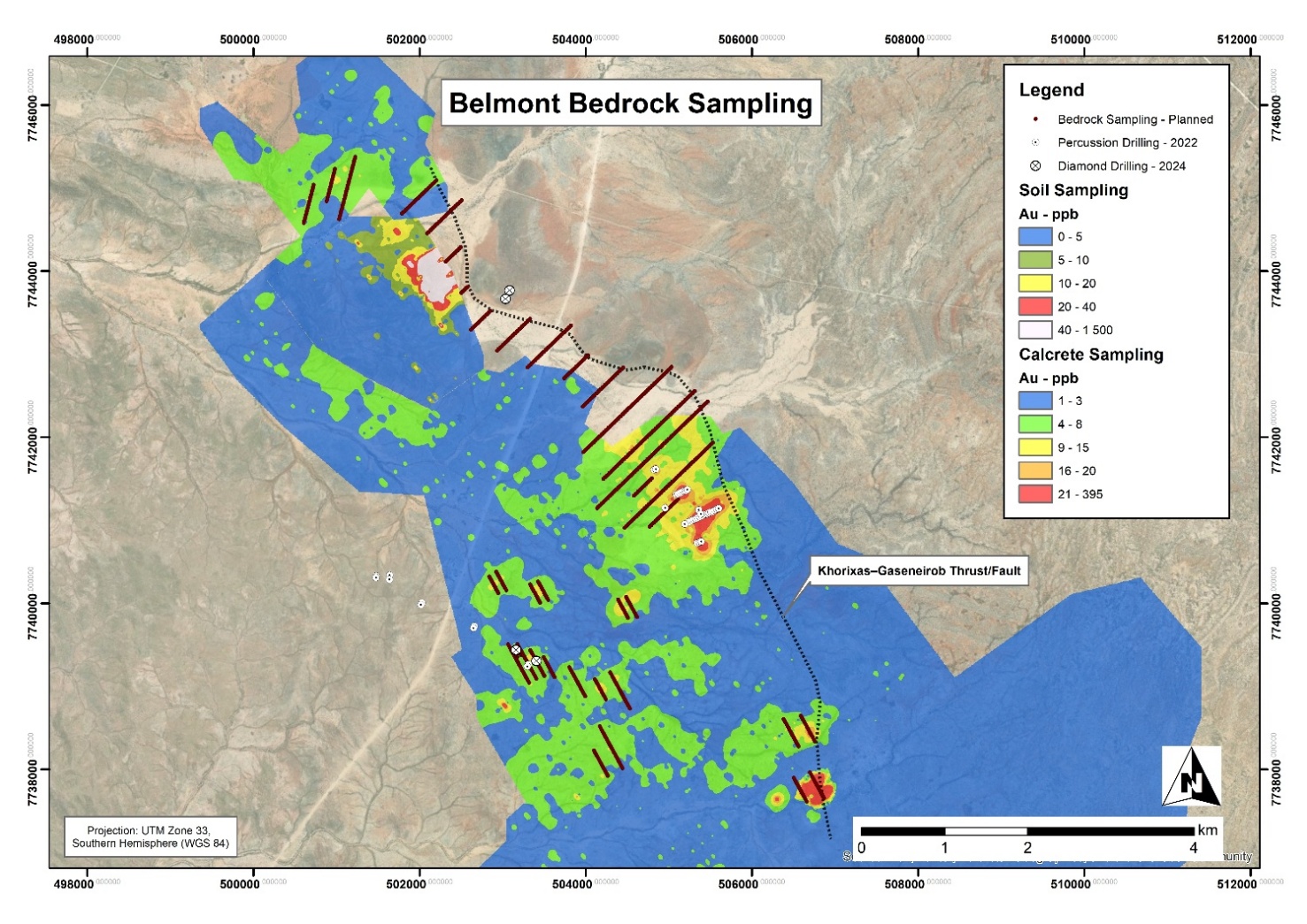 Figure 3: Belmont prospect map showing gold-in-calcrete heat map with planned bedrock sampling collar locations (brown dots).