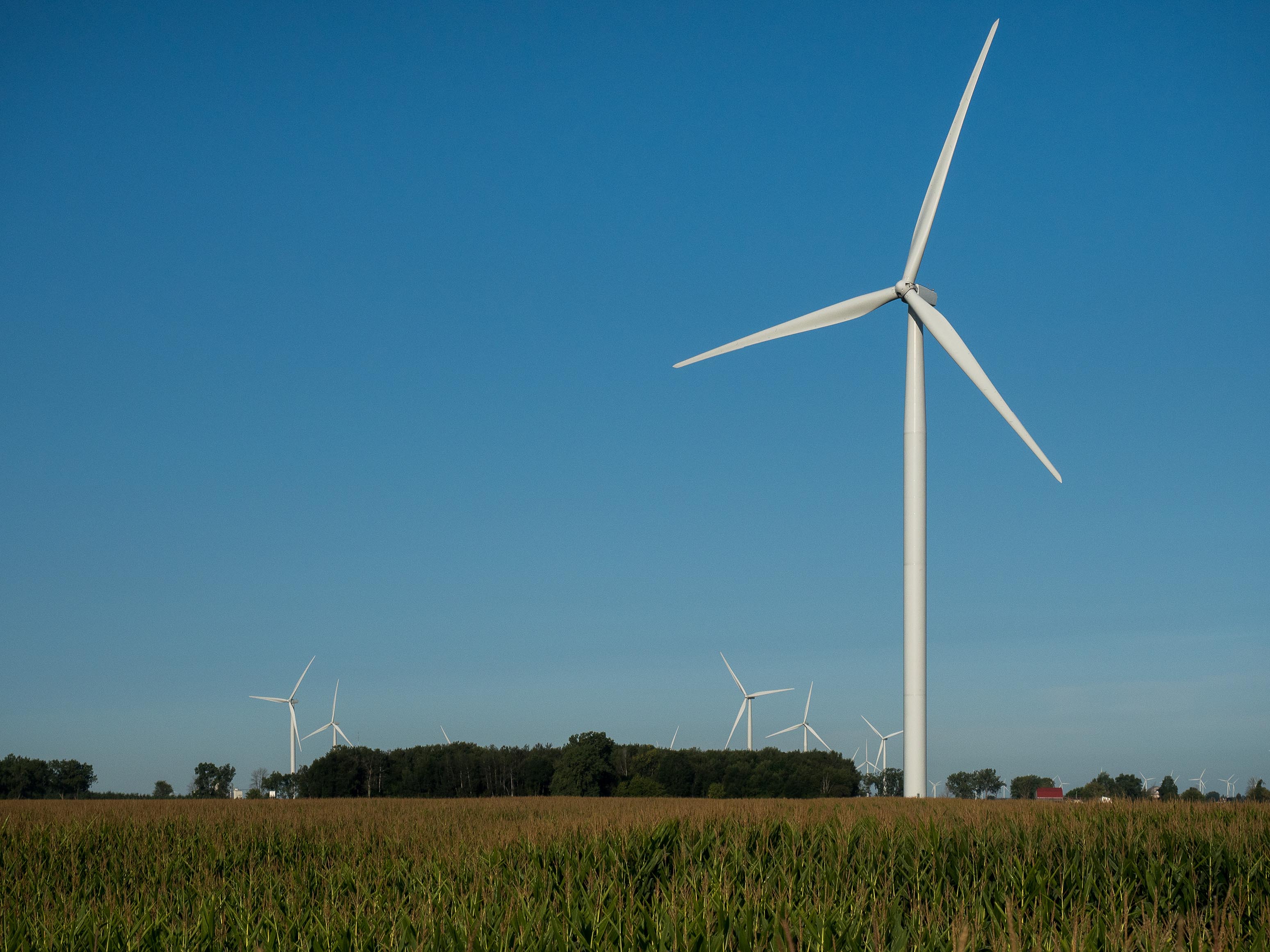 Turbines at DTE's Pinnebog Wind park.