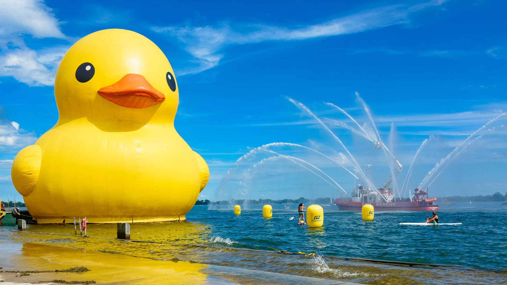 The World's Largest Rubber Duck