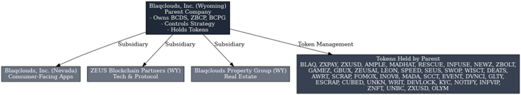 Blaqclouds, Inc. Corporate Structure and Token Management Overview