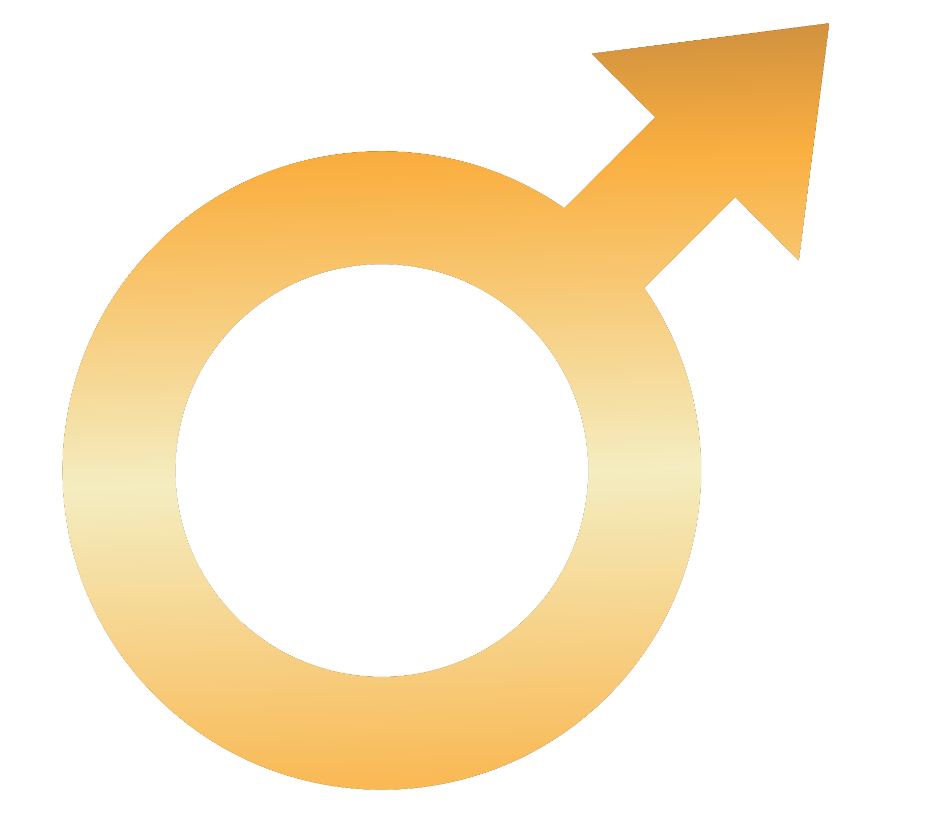 Vigor X Pro logo.png