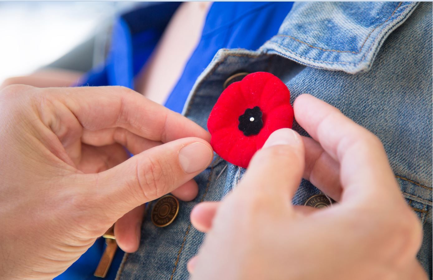 Coquelicot du Souvenir