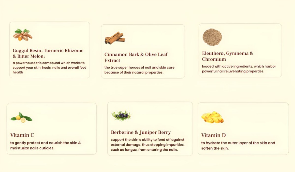 AppaNail Ingredients