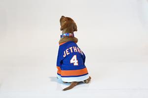 America's VetDogs' future service dog and puppy with a purpose with New York Islanders