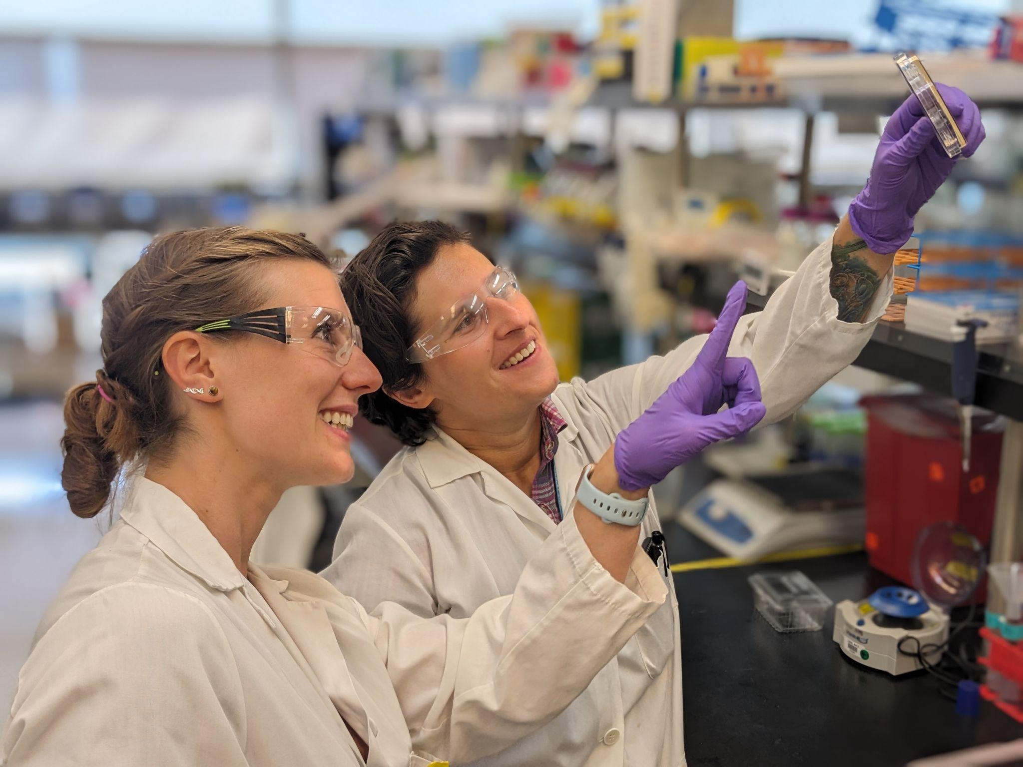 JBEI_Maren Wehrs and Monika Rozkowska