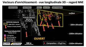 Projet aurifère O'Brien Vecteurs d'enrichissement - Vue longitudinale 3D 