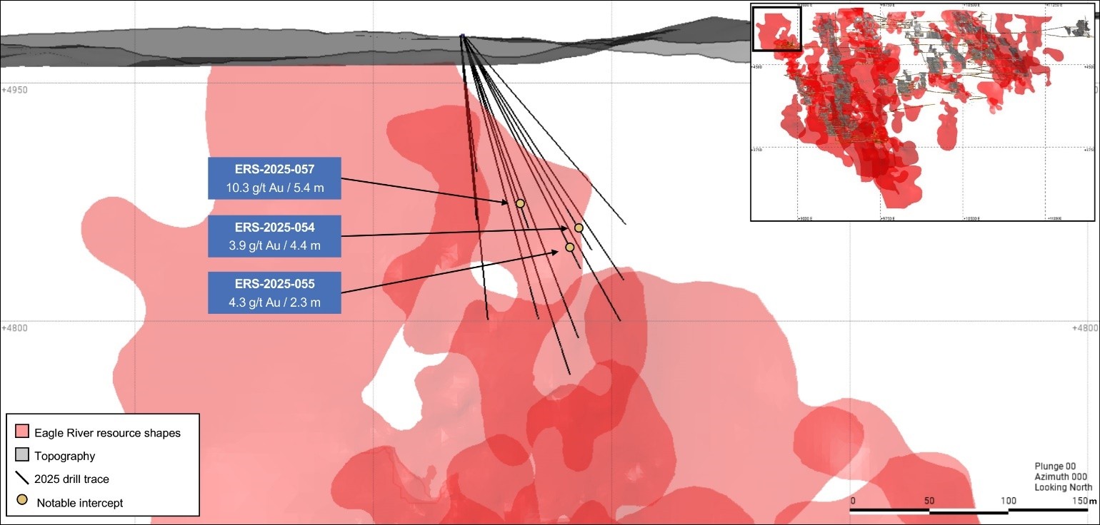 Figure 4: Falcon Zone Long Section (Looking North)