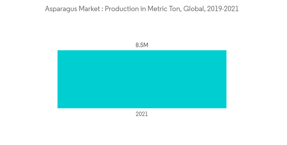 Asparagus Market Asparagus Market Production In Metric Ton Global 2019 2021