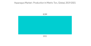 Asparagus Market Asparagus Market Production In Metric Ton Global 2019 2021
