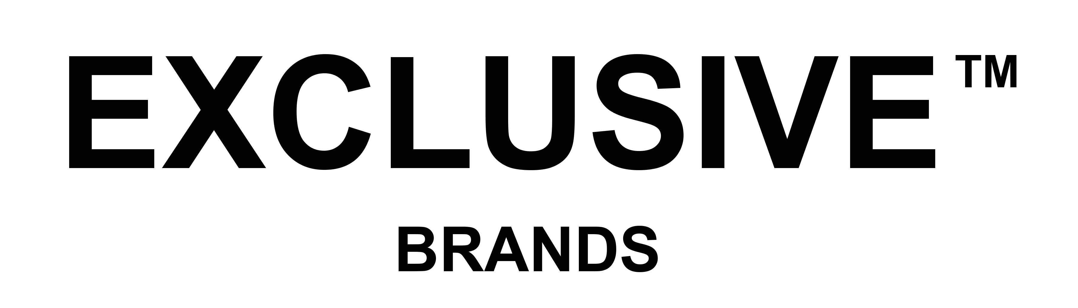 EXCLUSIVE-brands logo_black (1).png