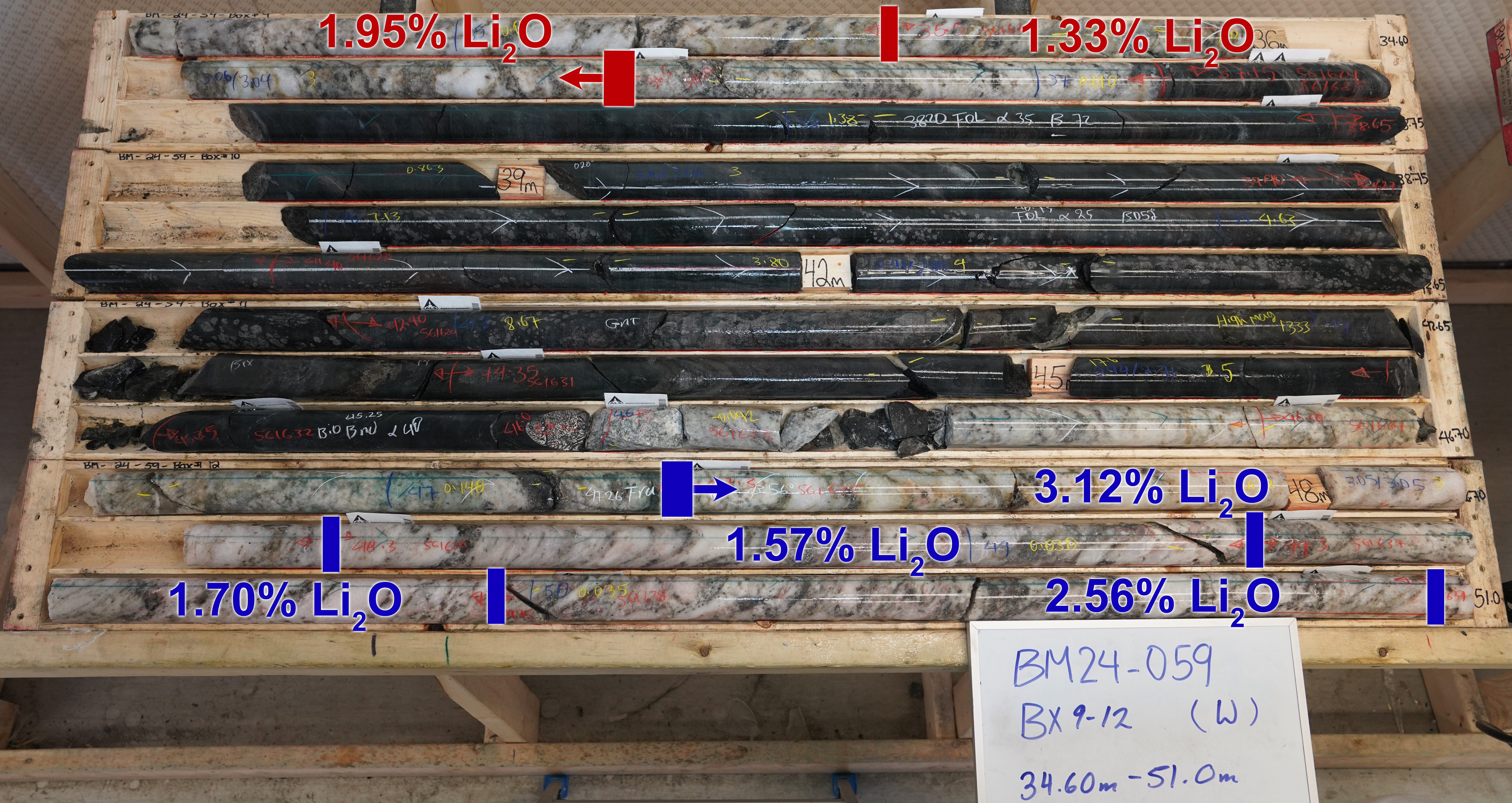 Core photos of hole BM24-059 (34.60m to 51m) highlighting Li2O% values in high grade intercepts from 32m to 36.5m (Red) and 47.3 m to 66.95 m (Blue).