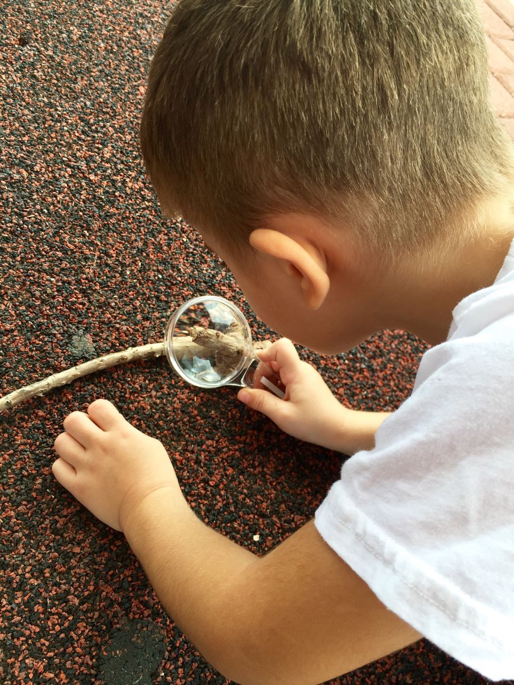 This course explores ways that early childhood professionals can create opportunities for children to investigate, observe, and build knowledge through hands-on activities, classroom learning centers, and everyday practices that promote interest in and awareness of the needs and characteristics of living things, patterns and cycles in nature, and human environmental impact.