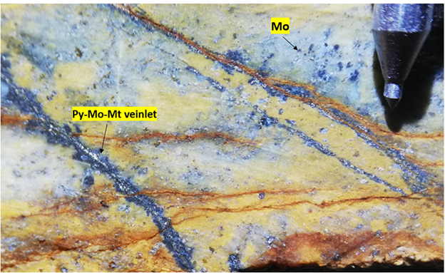 Figure 5(a): Box: Porphyry Style Stockwork Mineralization and Veinlets in Outcrop Samples