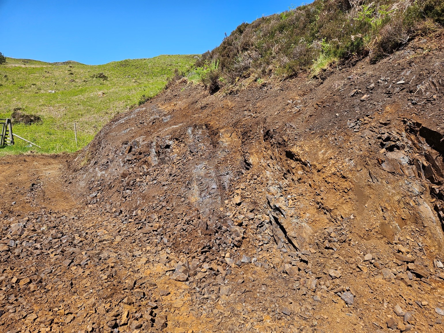 Outcrop of newly exposed banded iron formation (BIF) grading 34.3% Fe and 0.19 g/t Au.