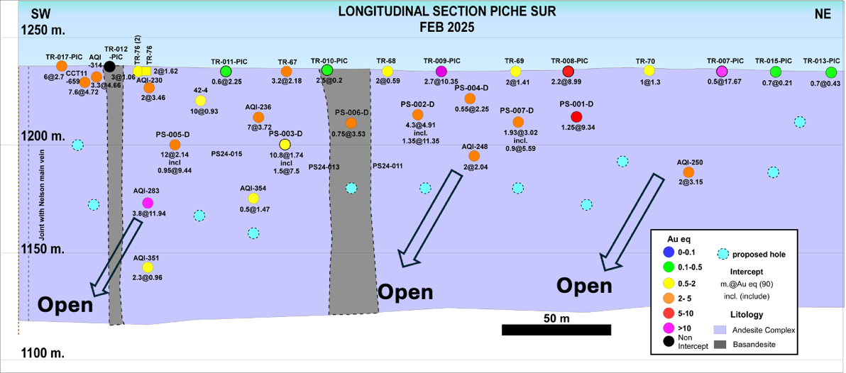 Longitudinal section showing Piche drill intercepts