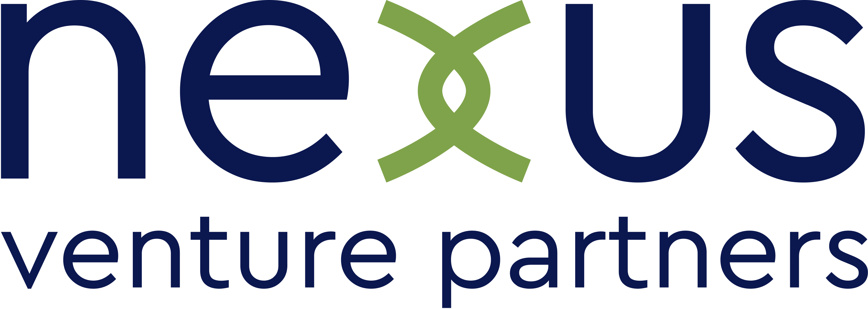 01 nexus-logo-vp-color-transparent.png