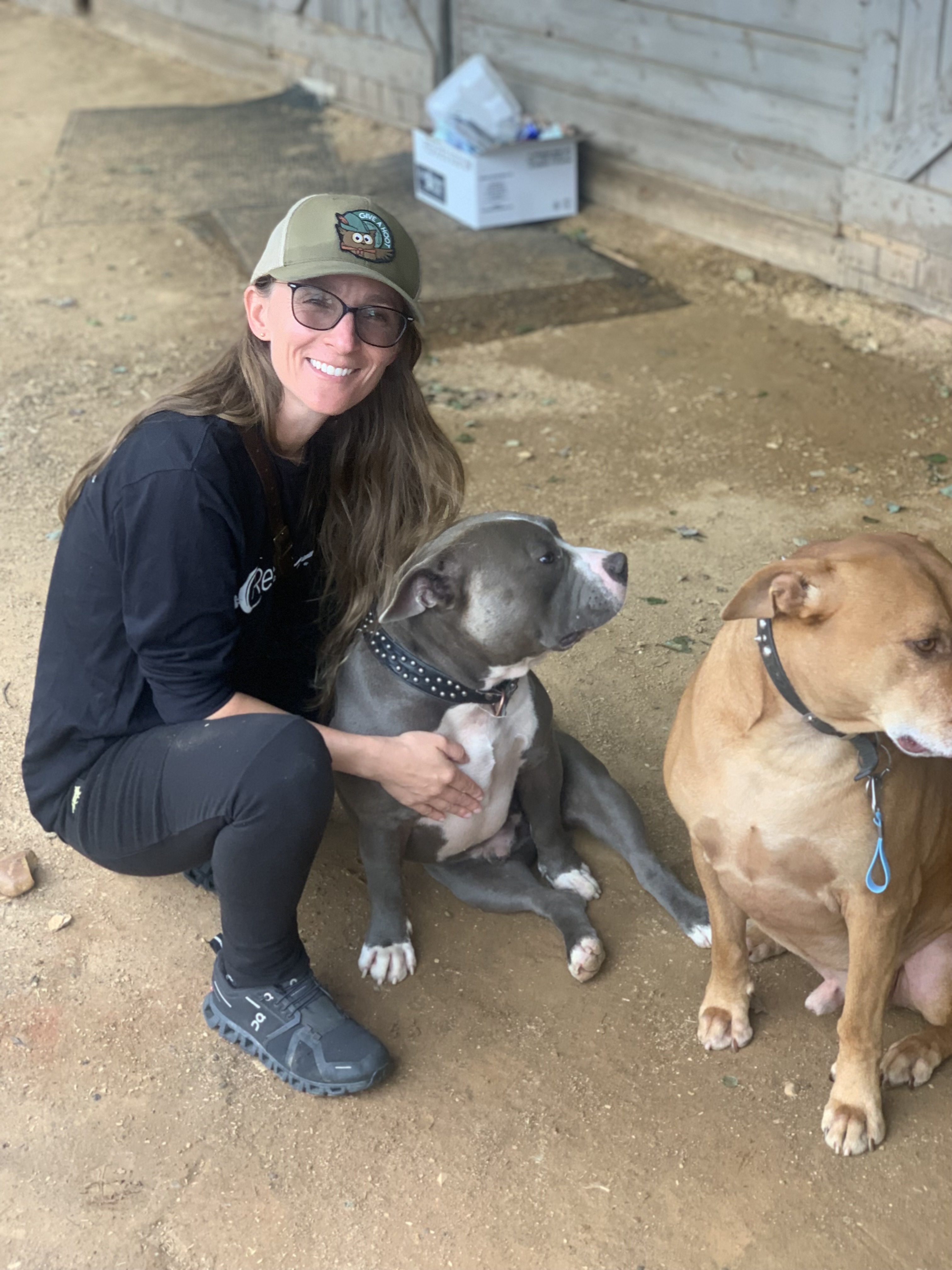 RedRover Team Leader Helping at North Carolina Shelter