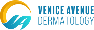 venice-logo.png