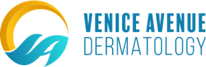 venice-logo.png