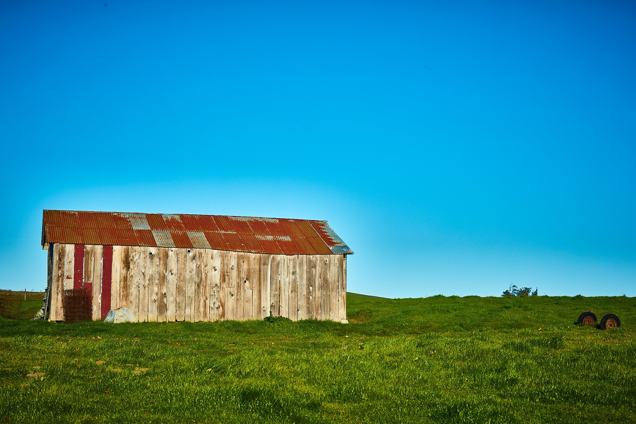 Sonoma County cannabis