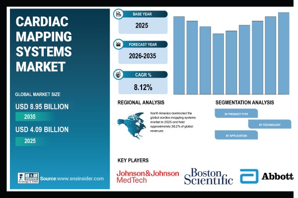 Cardiac Mapping Systems Market