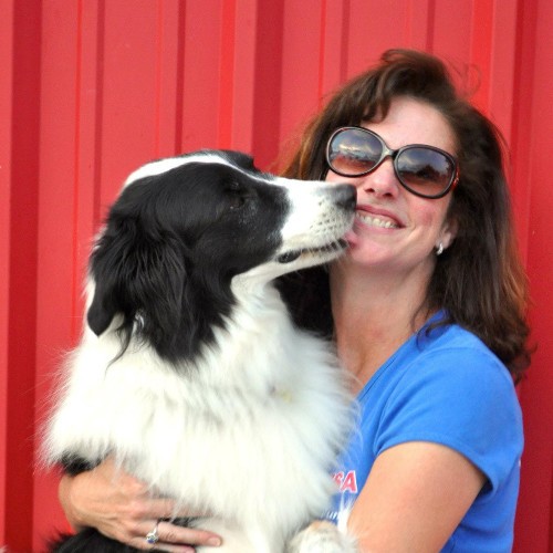 Dog Boarding Expert Chaddie Kumpe Platt Shares Advice in HelloNation Magazine