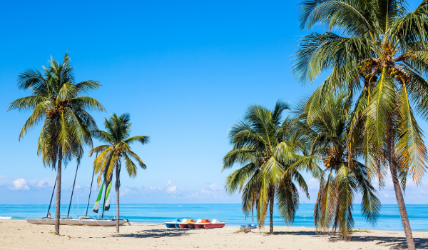 Copy of Copy of Copy of new blog size -   (3)