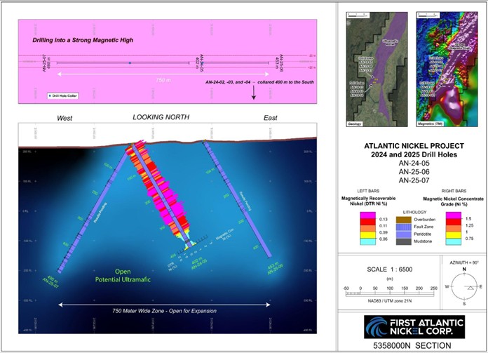Figure 1 image