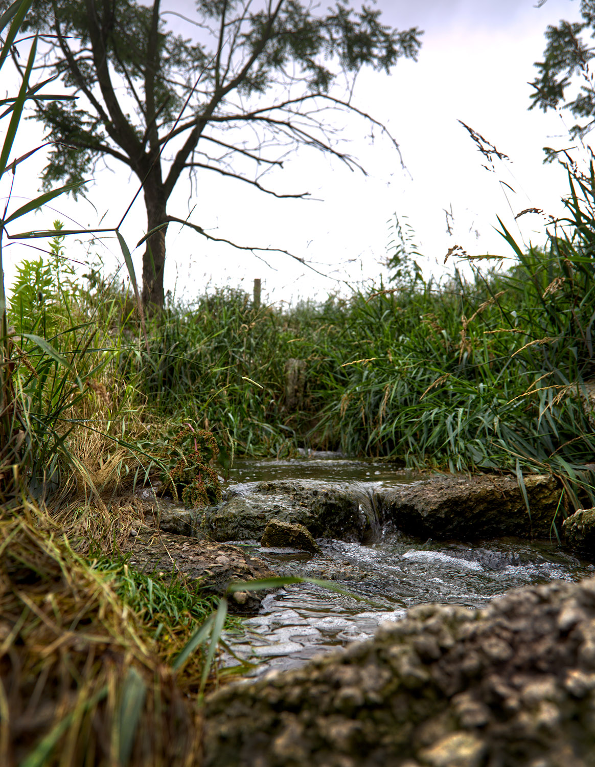 Clean, clear water flowing at the headwaters of the Sydenham River in Middlesex County, after passing through water control projects at Crump Family Farm.