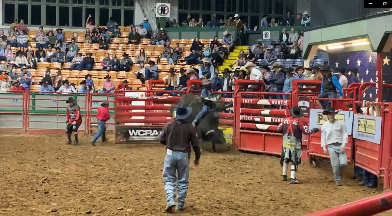 BuzzBallz competes during PBR competition