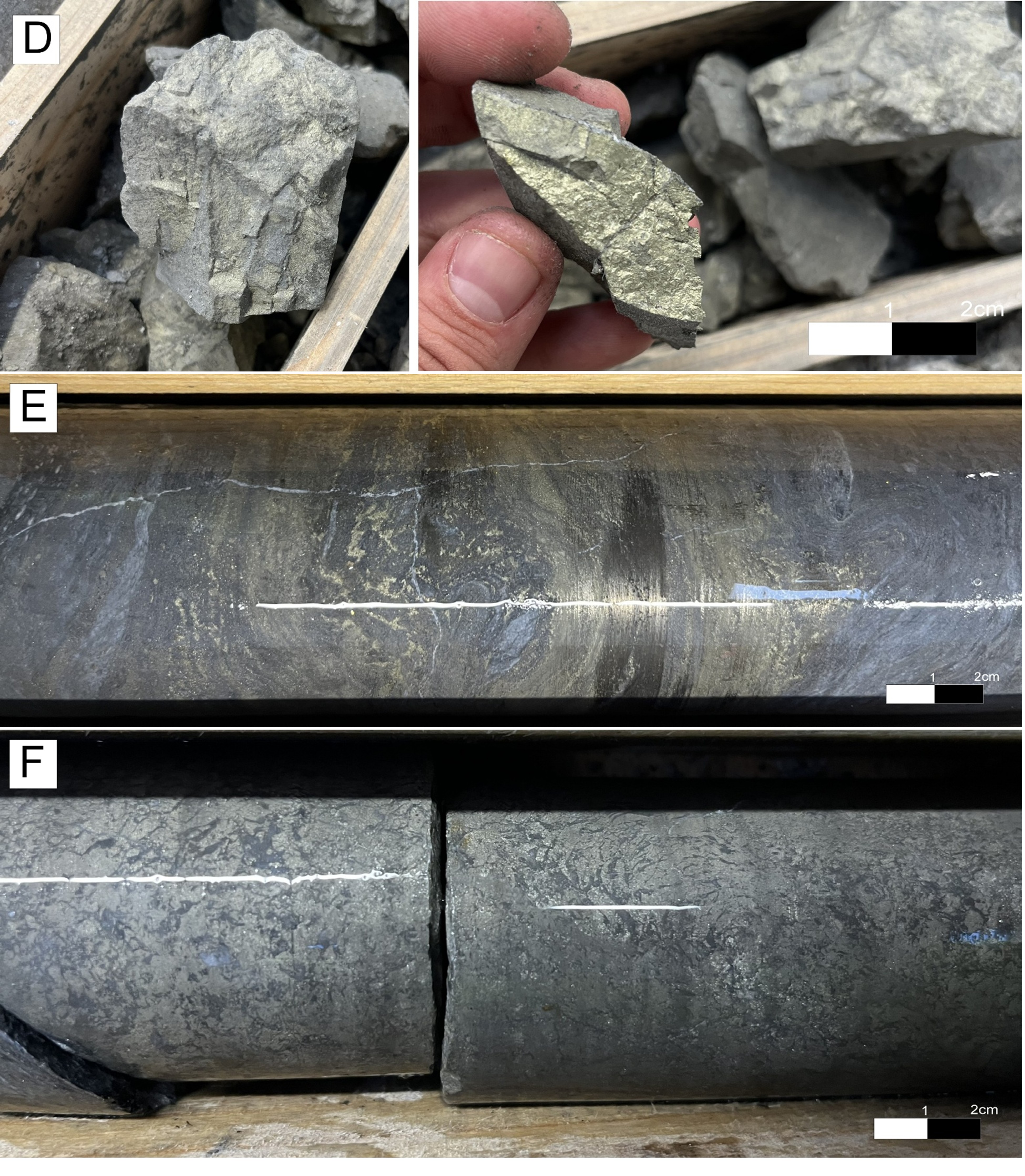 Figure 5 continued image