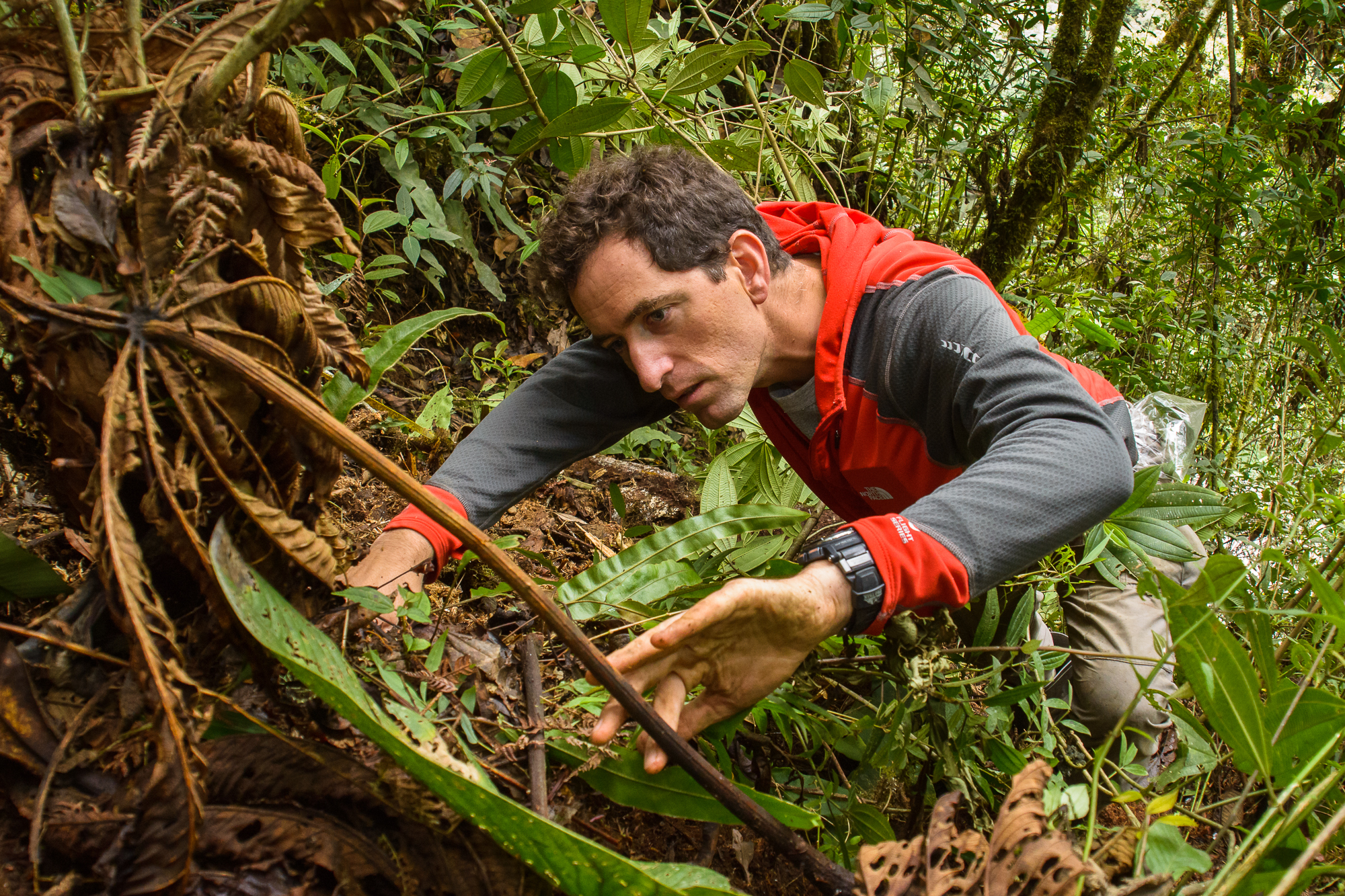 The E.O. Wilson Biodiversity Foundation 