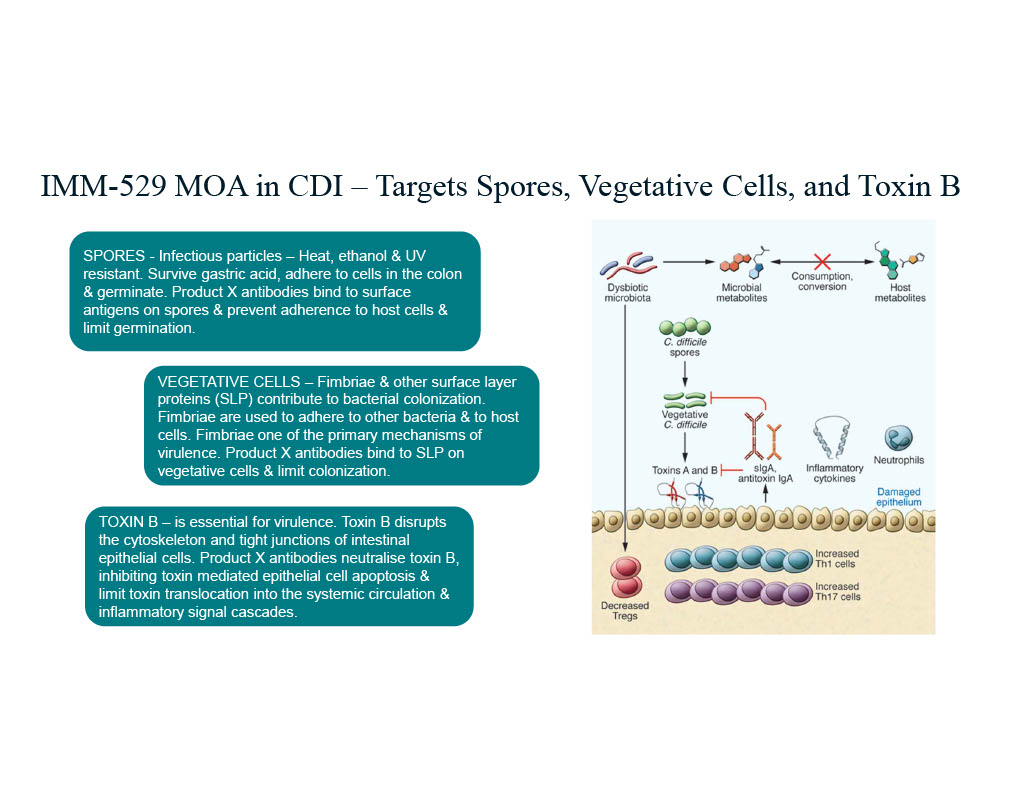 IMM-529 Mechanism of Action in CDI 