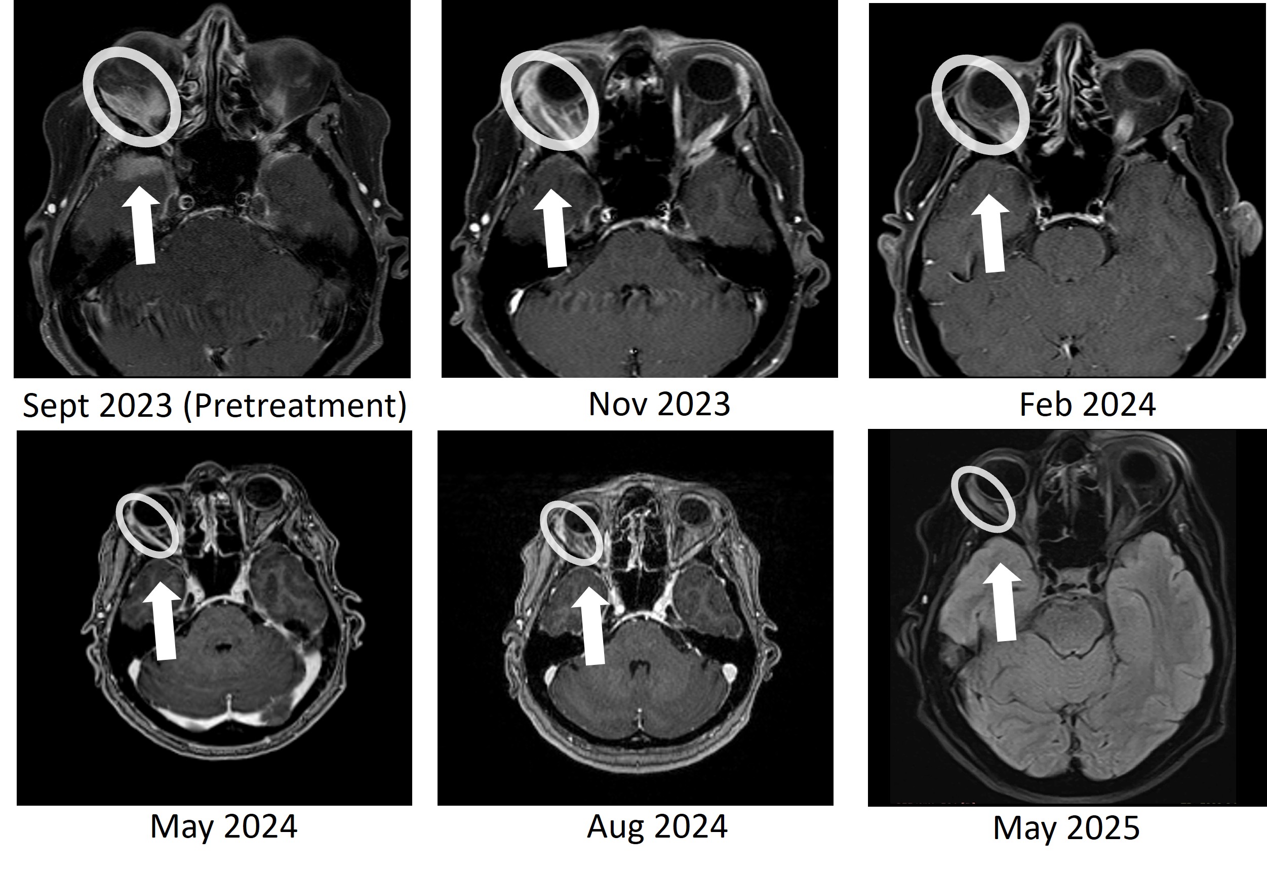 Figure 1: