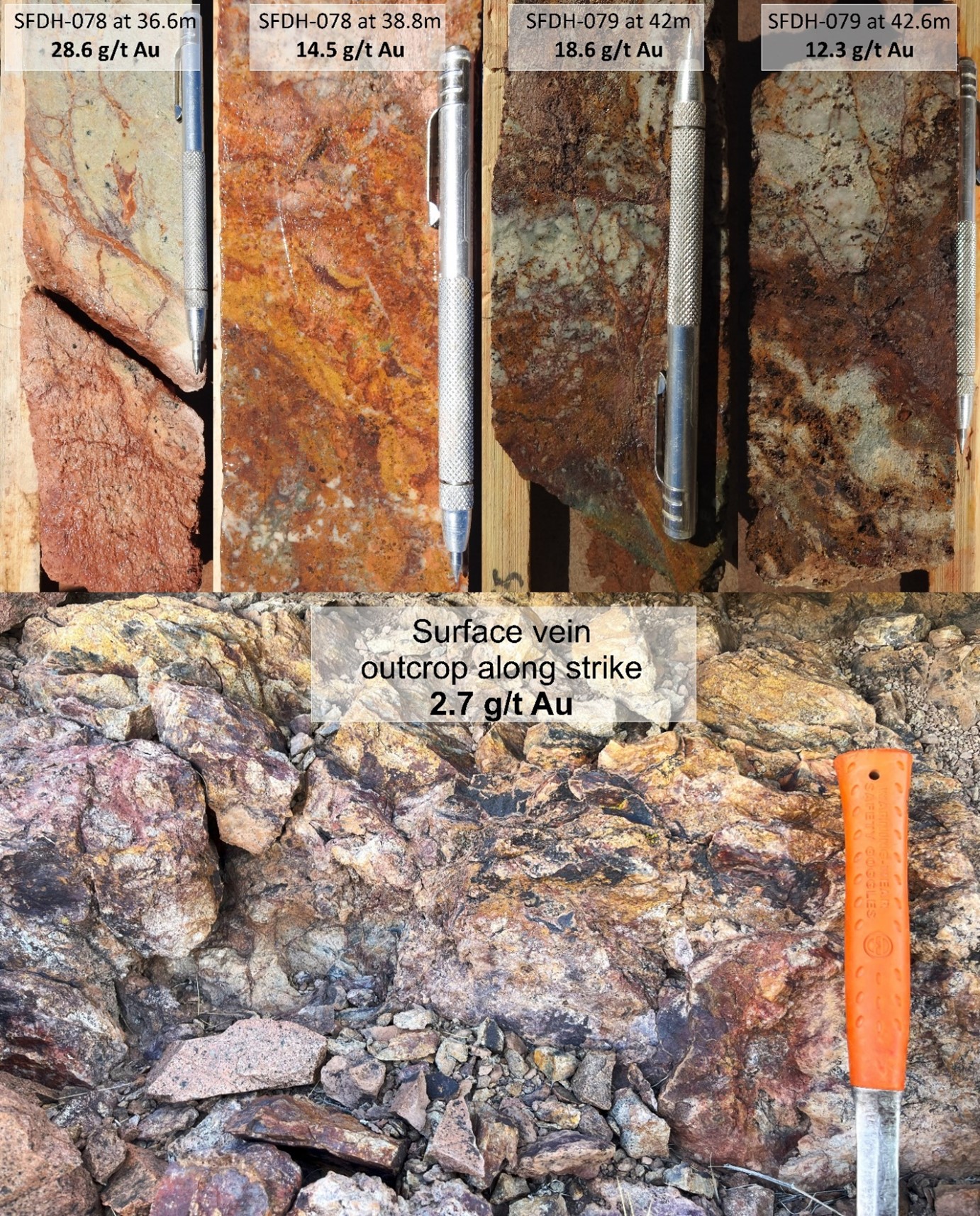Examples of high-grade gold mineralisation in core samples and from an outcrop along strike from drilling at Veta Rica. Mineralisation is hosted in crystalline quartz (commonly brecciated) with intense sericite alteration and hematite-goethite-jarosite, formed by the weathering of sulphides.