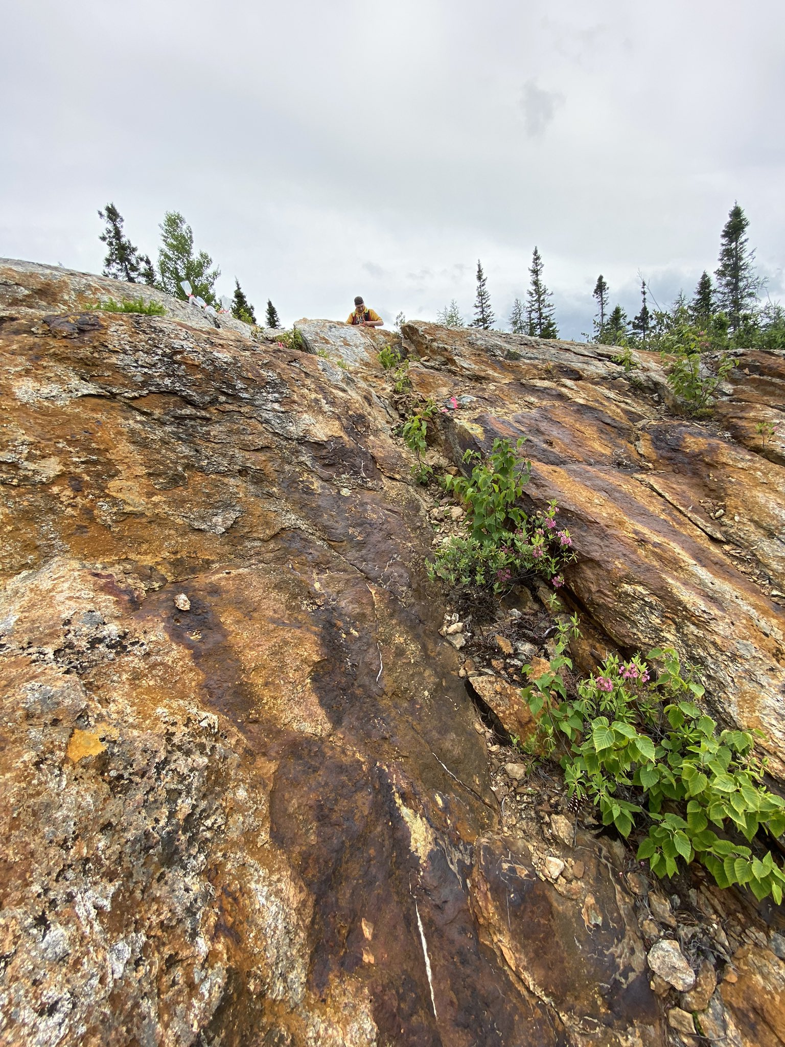 Photograph 1 - Bedrock exposure showing prospective alteration