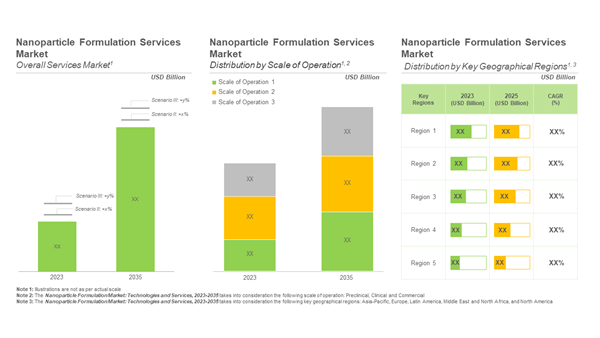 Nanoparticle Formulation Market 