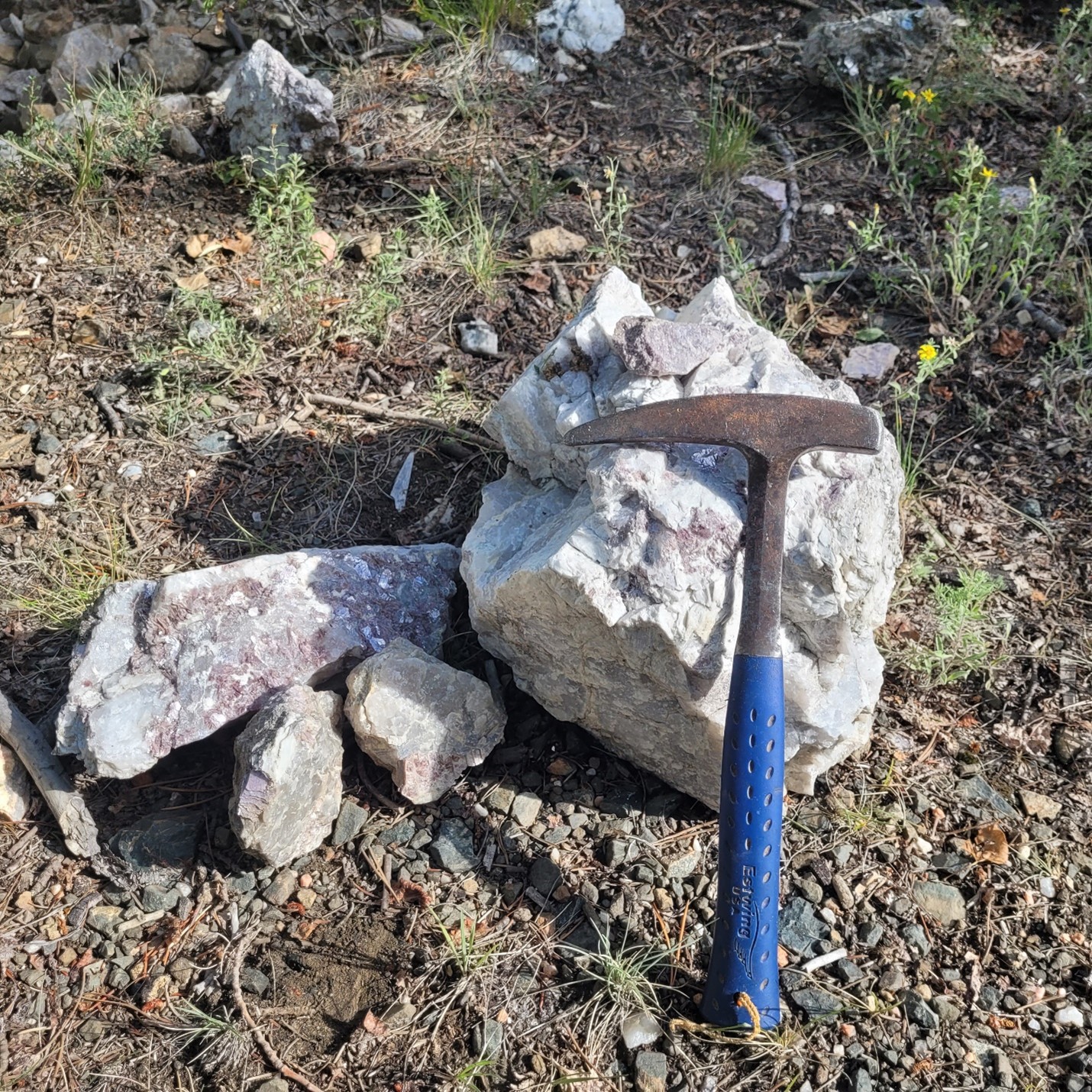 Large Lepidolite Crystals in Pegmatite from near the Brown Derby Deposit