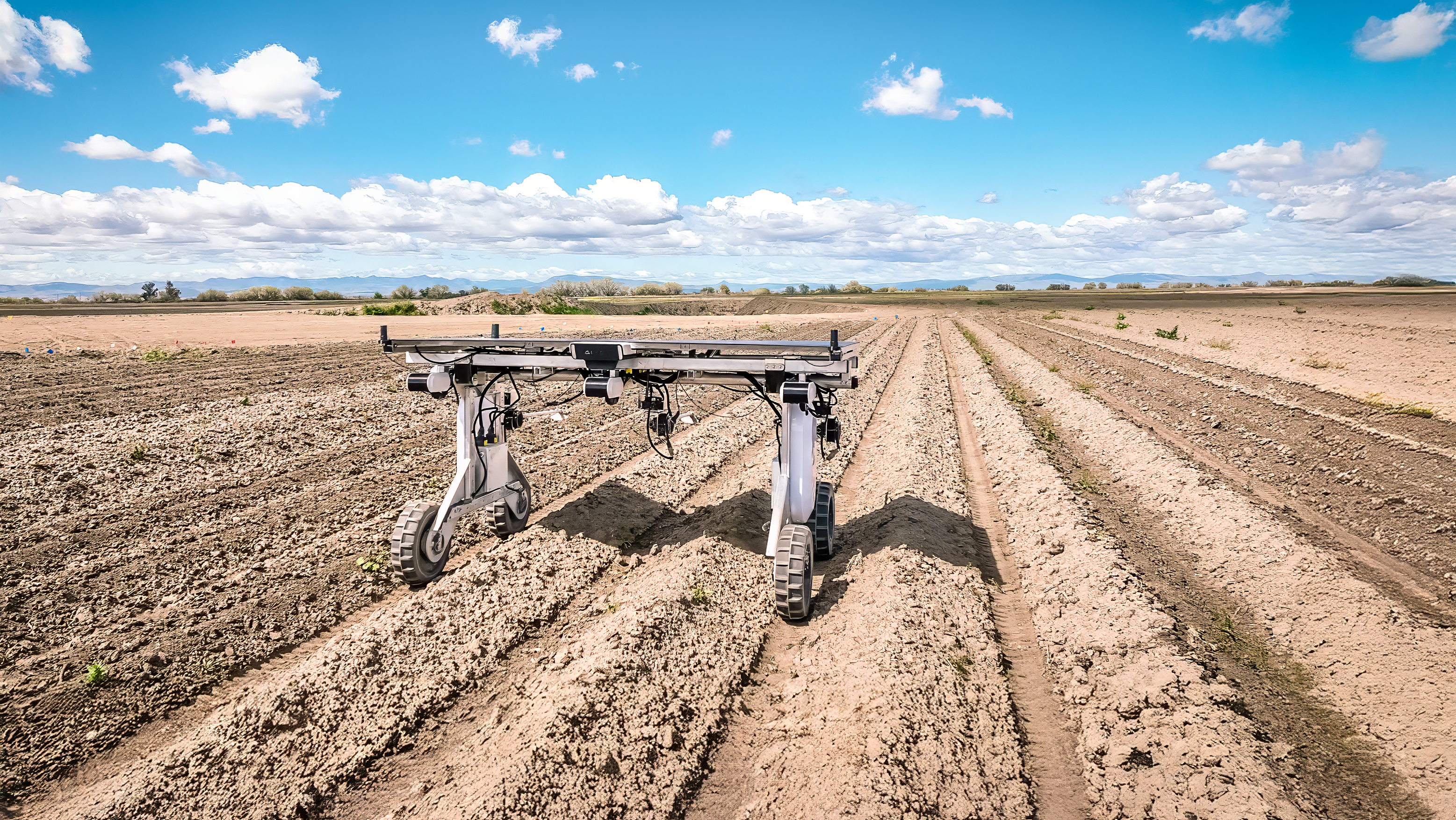 Aigen Element for Weeding working a cotton field