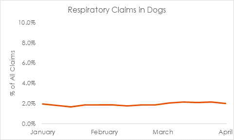 Charts indicate no significant changes in respiratory claims, as a percentage of all claims, over the last 3 months
