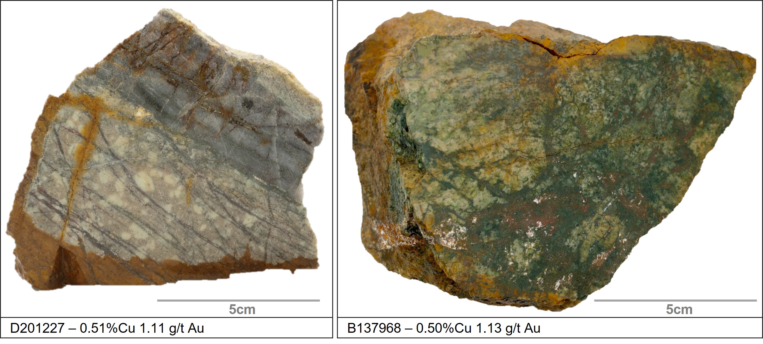 Figure 4 image