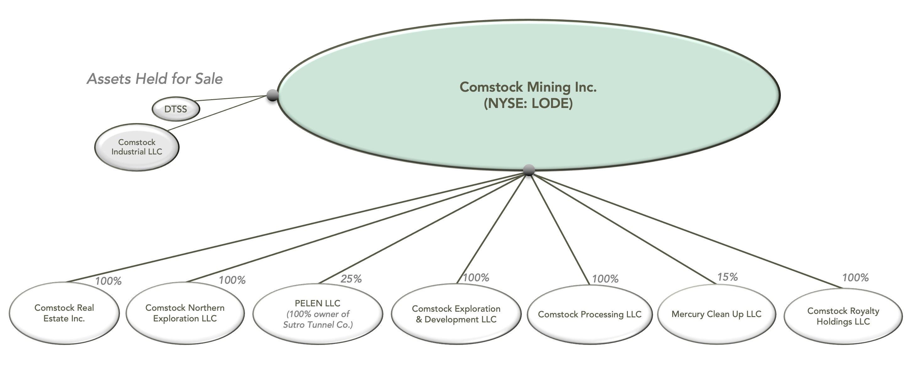 Figure 1 - Comstock's Corporate Realignment