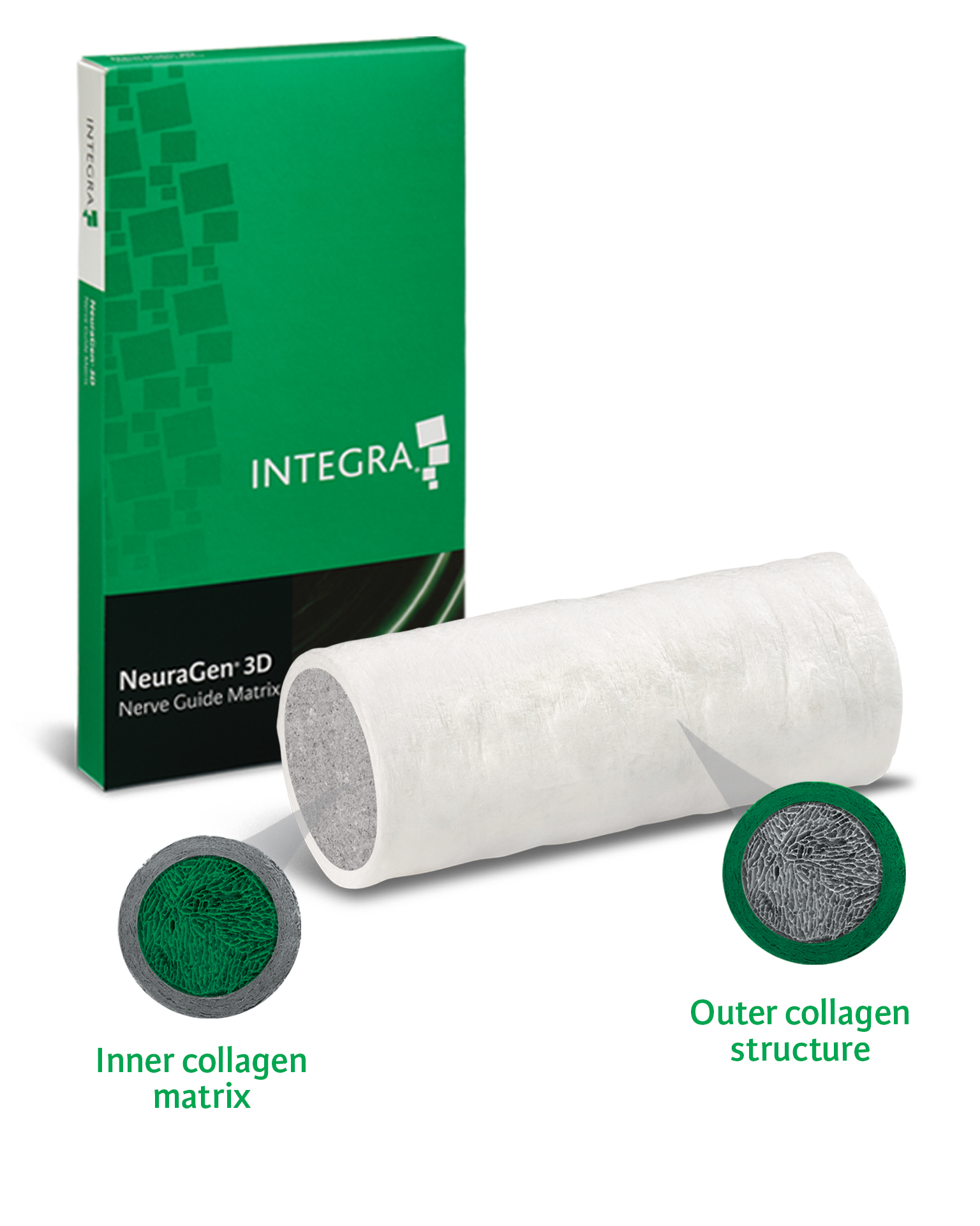 NeuraGen 3D Guide Matrix, a resorbable implant for the repair of peripheral nerve discontinuities.