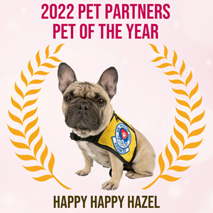 2022 Pet of the Year - Happy Happy Hazel